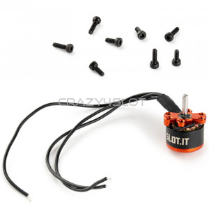 Brushless Motor 24.000 rpm