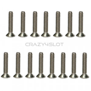 Stainless Steel Phillips Head Screws M2 x 10mm