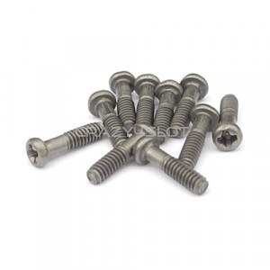 Titanium Metric Screws